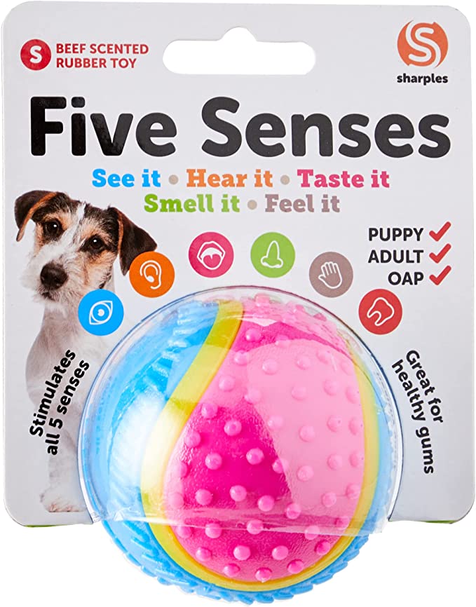 Five Senses Dog Ball